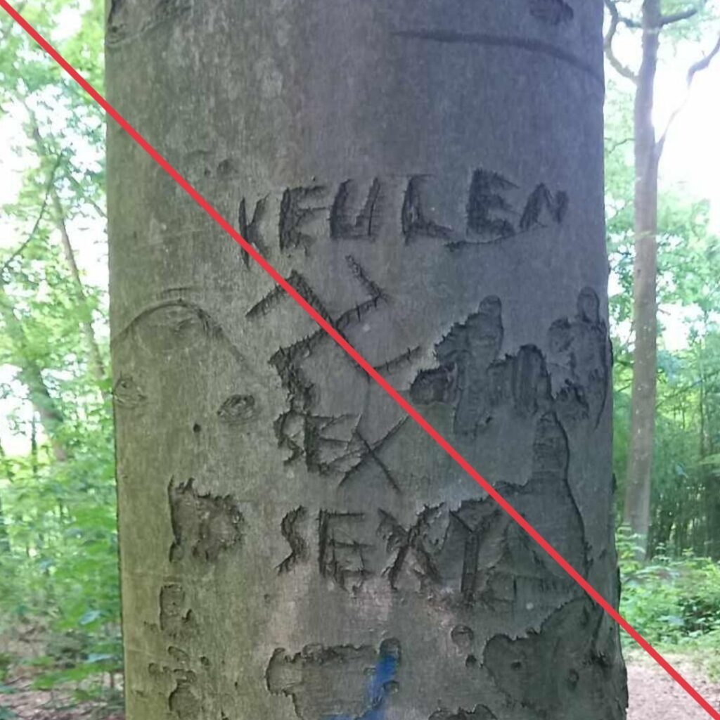 Ein Hakenkreuz, das neben diversen anderen Worten wie "Keulen", "Sex" und "Sexy" in einen Baum geritzt wurde.
